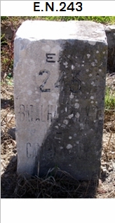 E.N. 243 - E.N.1 - Porto de Ms - Mira d'Aire - Minde - Moitas - Zibreira - Torres Novas - Goleg - Chamusca - Ulme - Chouto - Foros do Arro
 - Farinha Branca - Montargil - ... - Avis - Ervedal - Fronteira (prox.) - Monforte - Azeiteiros - Santa Eullia - Campo Maior